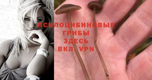 дмт Бугульма