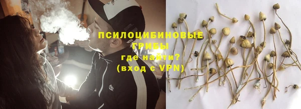 дмт Бугульма
