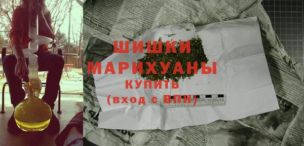 ешки Бронницы