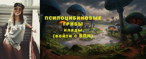 ешки Бронницы